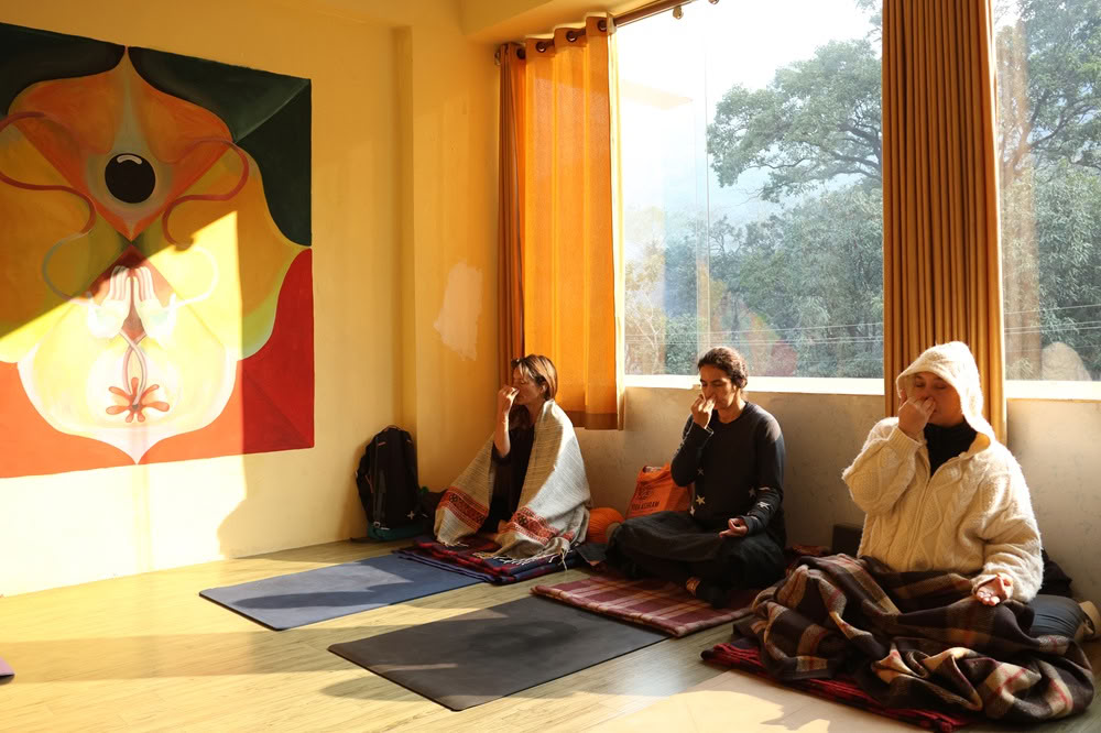 100 timers yogalæreruddannelse i Rishikesh, Indien