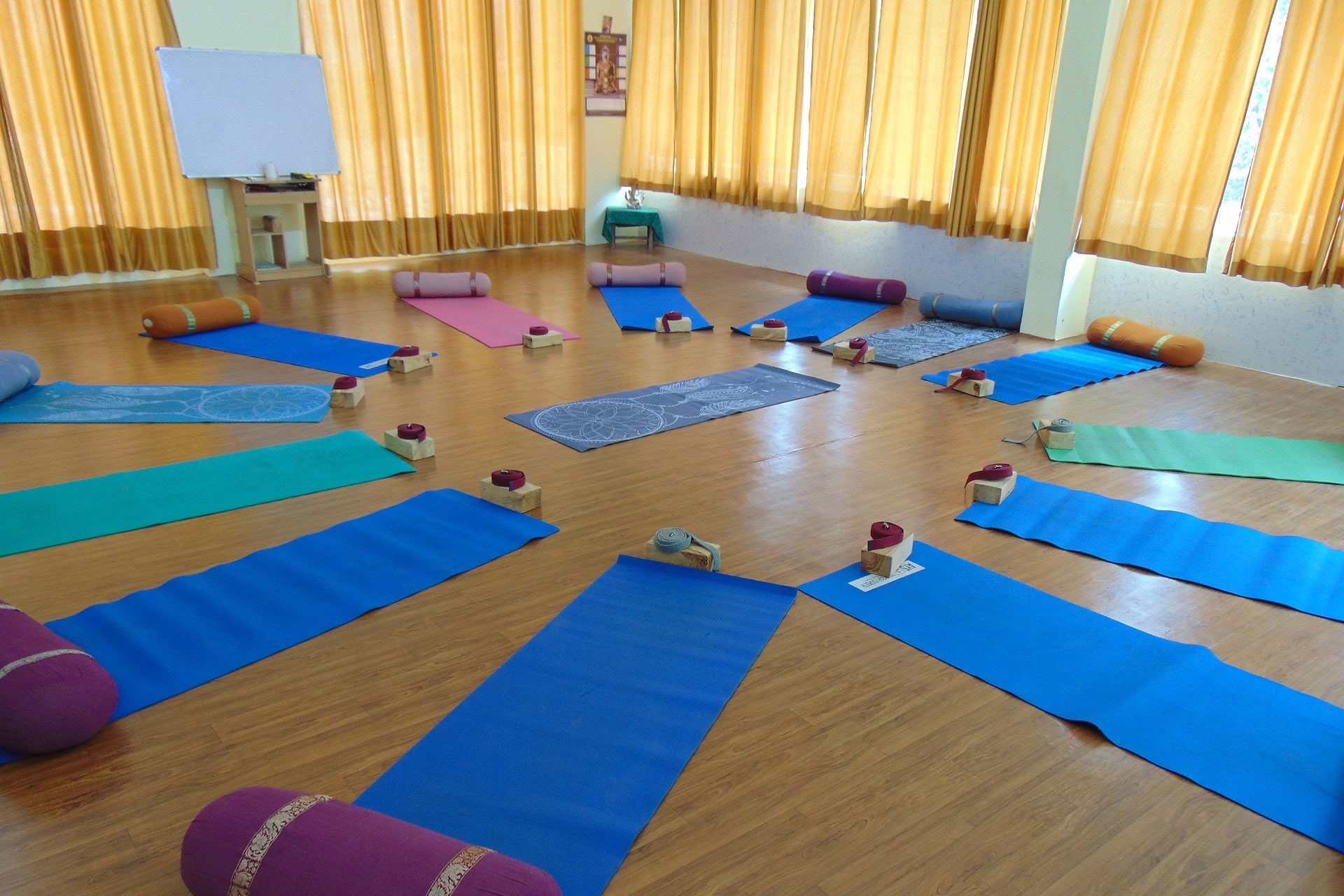 6-dages Yin Yoga-kursus i Rishikesh
