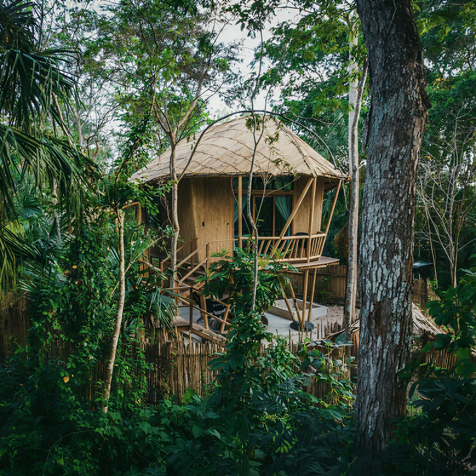 Tilbage til naturen yoga-retreat