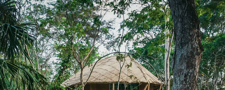 Tilbage til naturen yoga-retreat