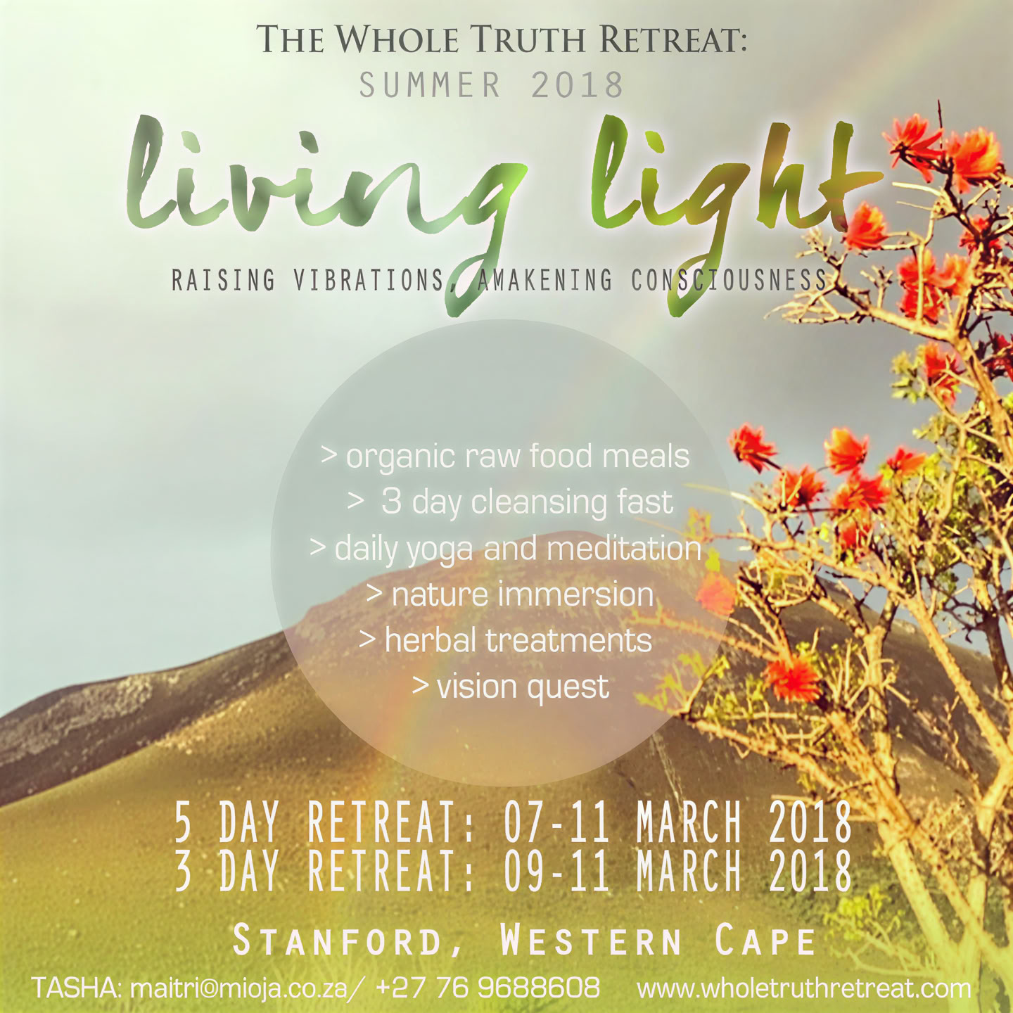 HELE SANDHED-RETREAT: SAND NATUR