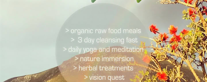 HELE SANDHED-RETREAT: SAND NATUR