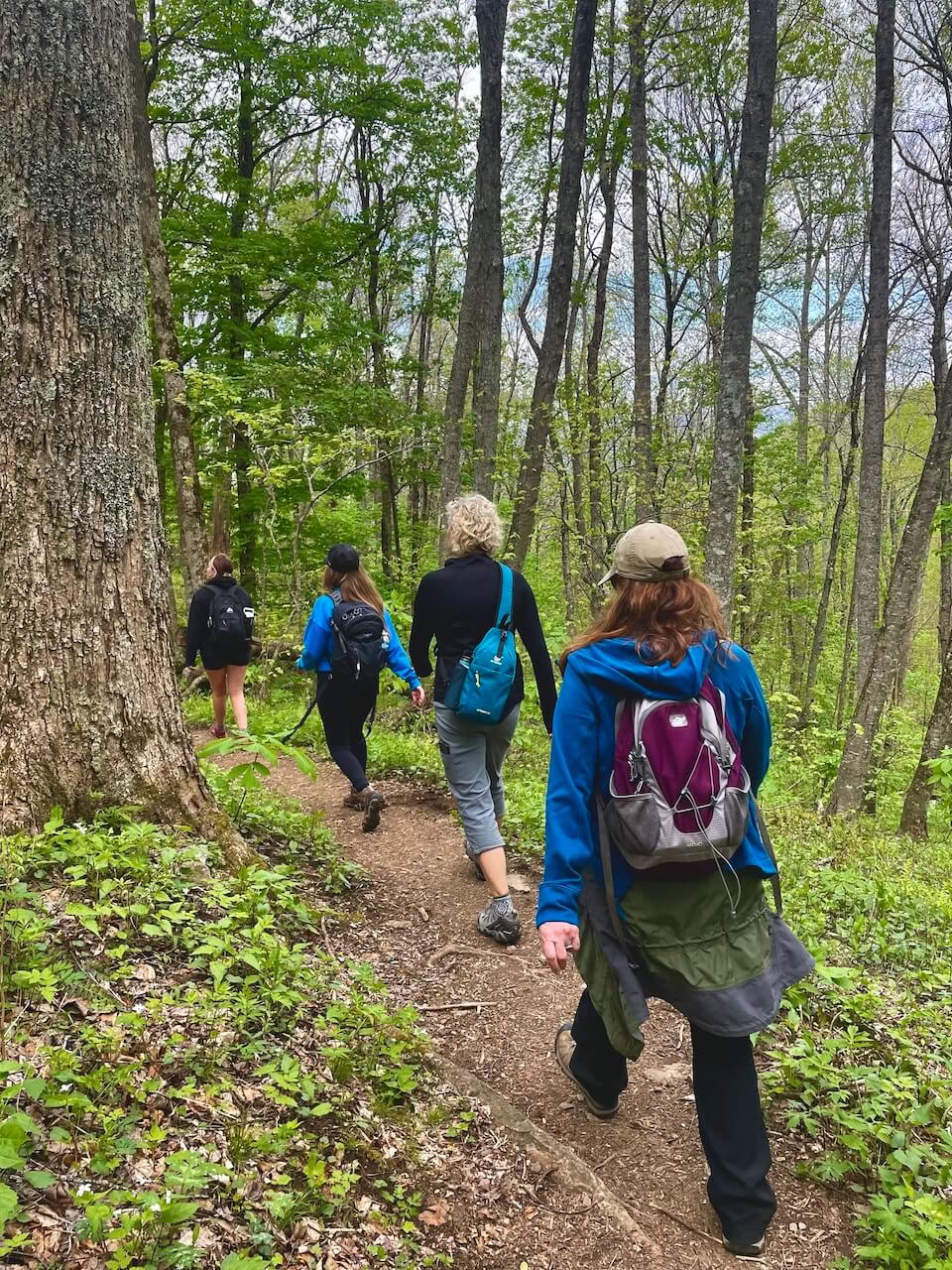 Natur og lykke – yogaretreat i North Carolina