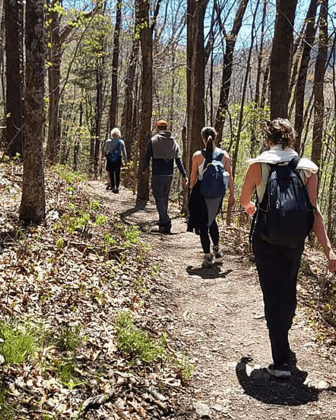 Natur og lykke – yogaretreat i North Carolina