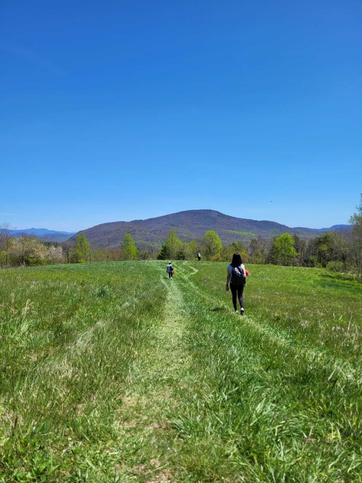Natur og lykke – yogaretreat i North Carolina