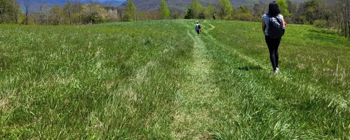 Natur og lykke – yogaretreat i North Carolina