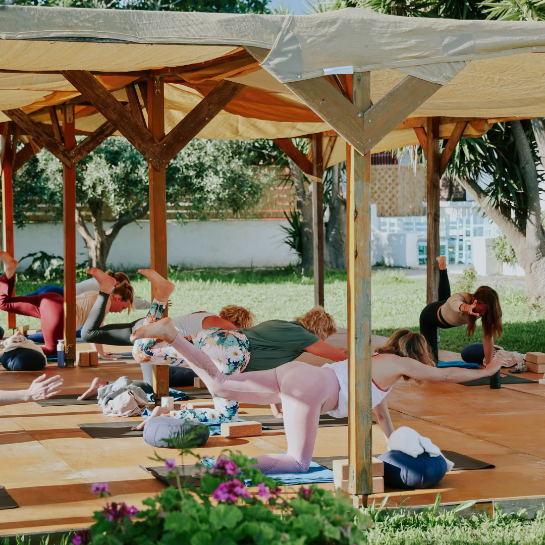 Yoga & Vandretur