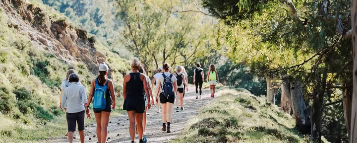 Yoga & vandretur 4.-11. september 2027