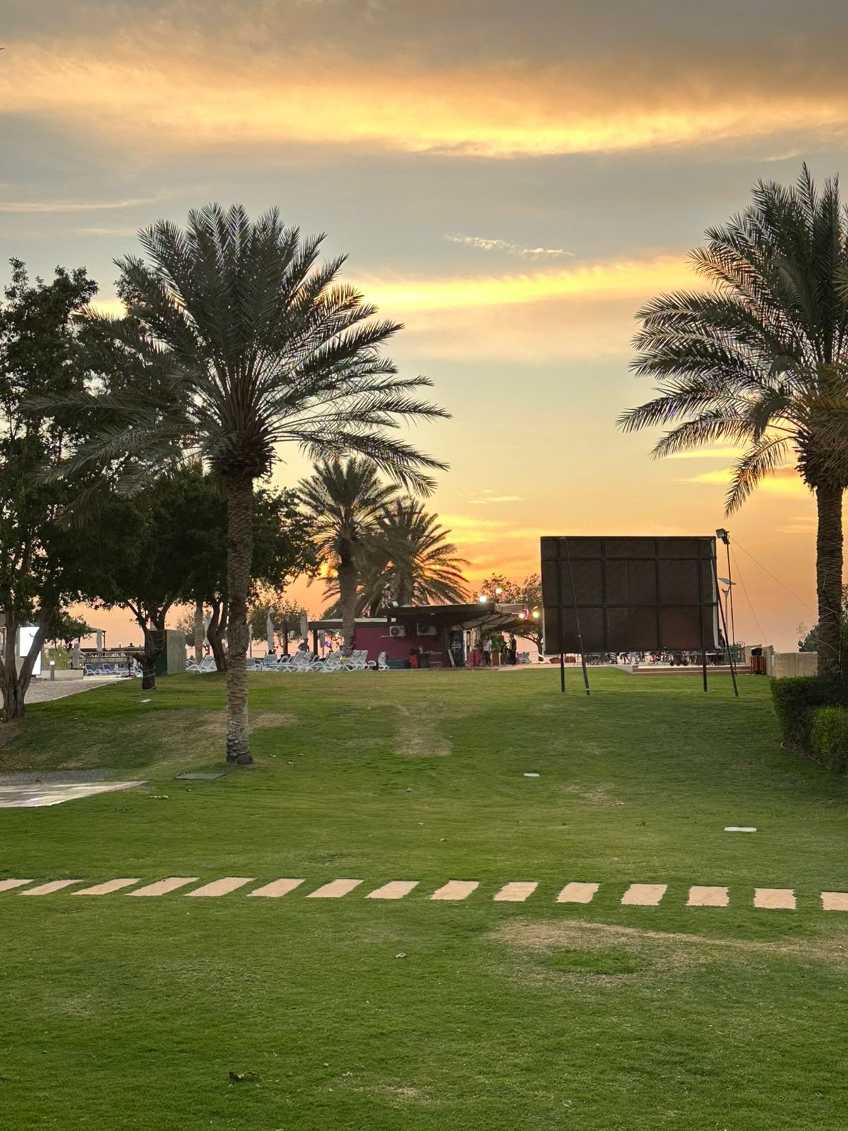 Solnedgangsyoga i Jubail Mangrove Park