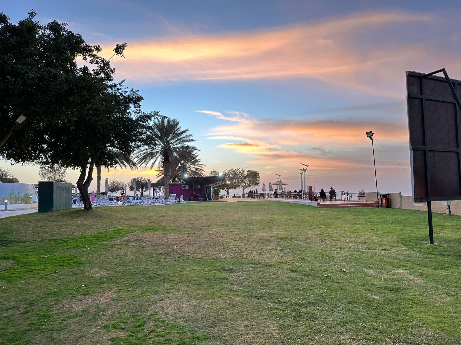Solnedgangsyoga i Jubail Mangrove Park