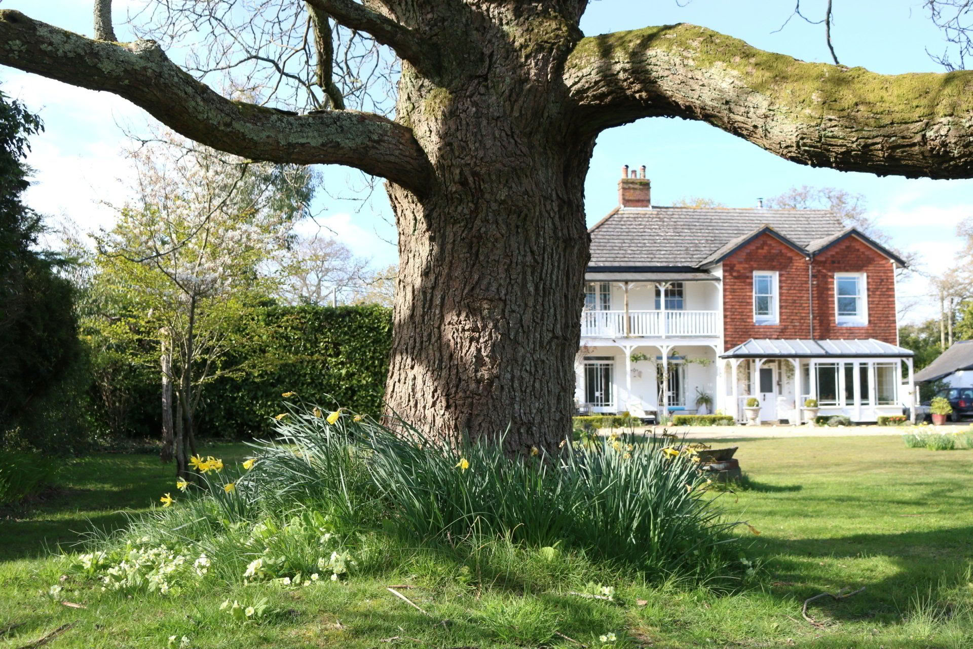 Yoga-, vandre- og potteriretreat i New Forest, Hampshire