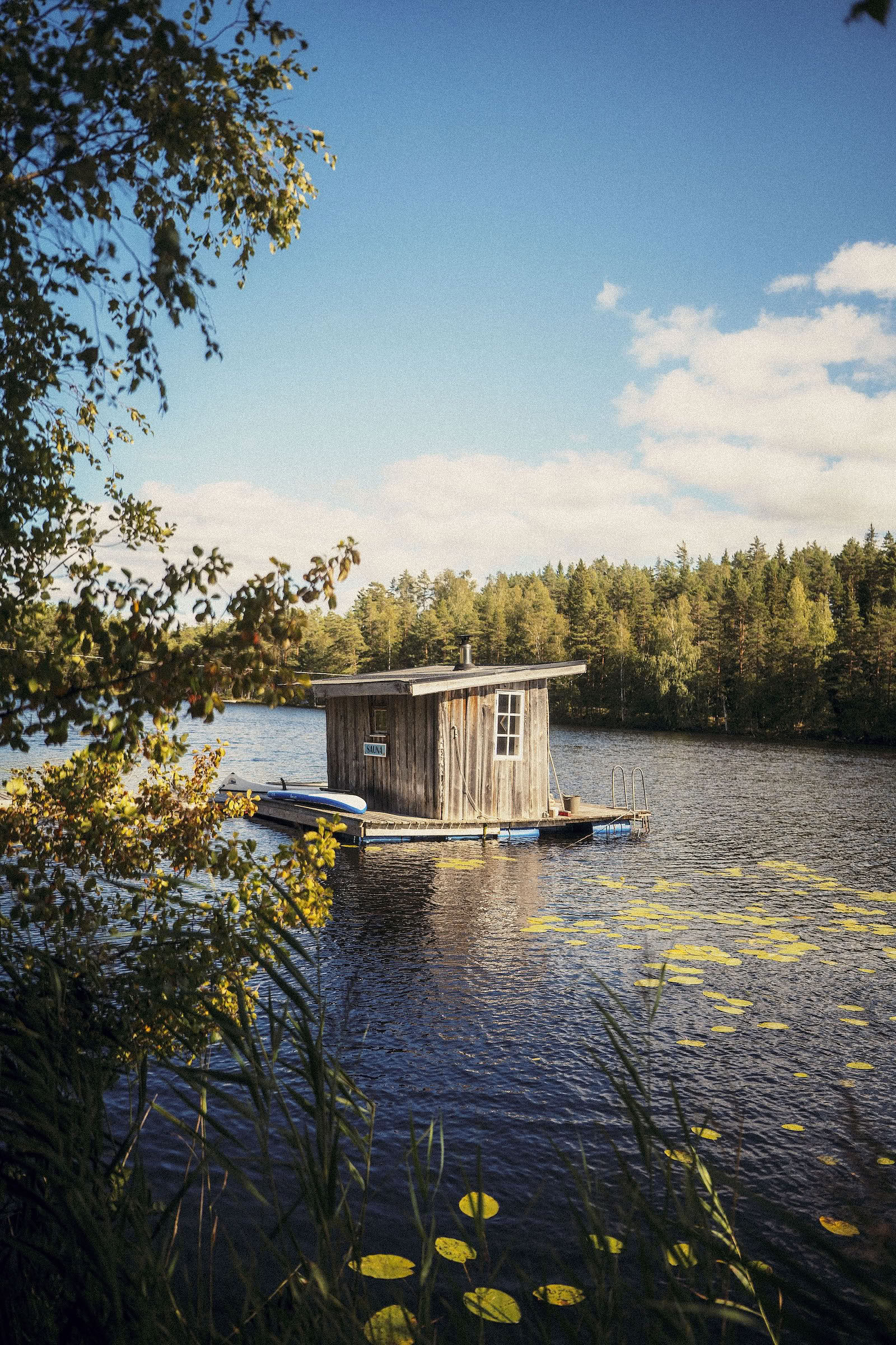 Vild Sverige-yogaretreat: Hvil og genforbind med naturen i den svenske skov