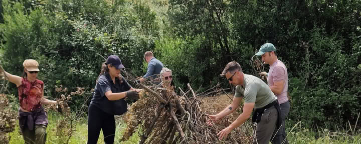 Grundlæggende overlevelse i vildmarken