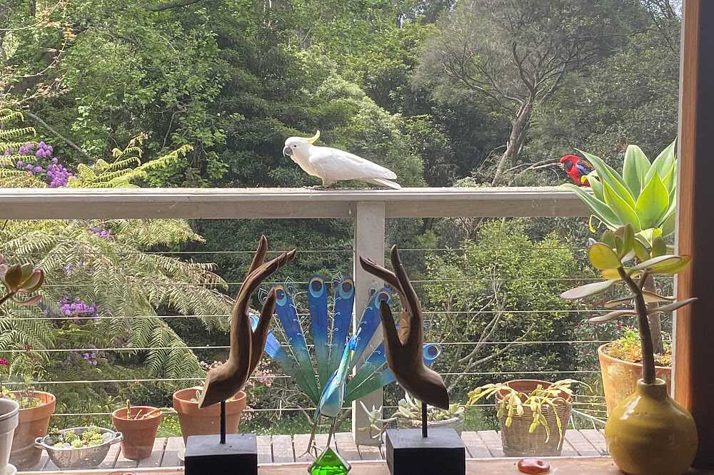 3-dages privat fleksibelt spirituelt retreat 1 time fra Melbourne