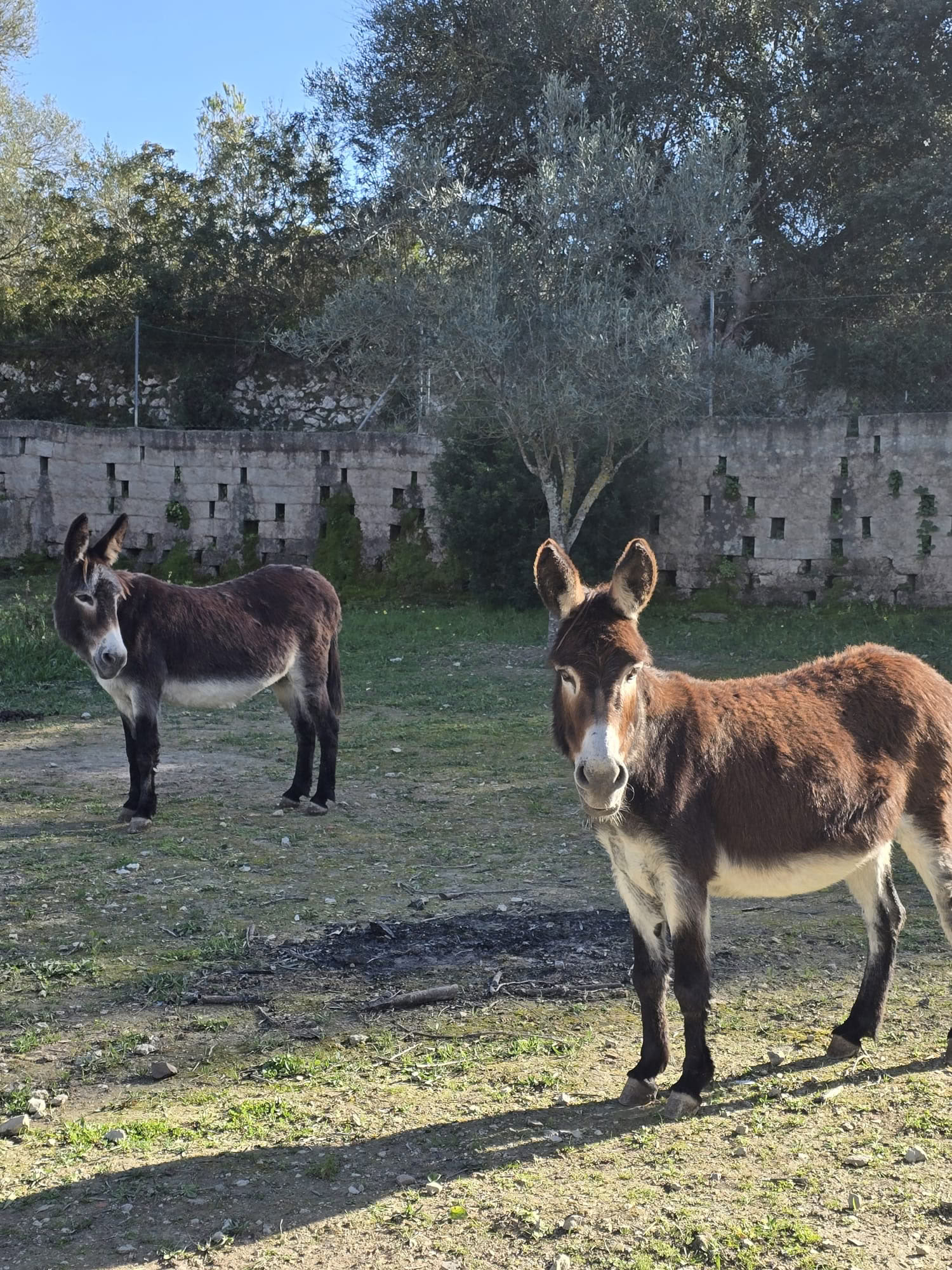 Genforbindelsesretreat: Mallorca