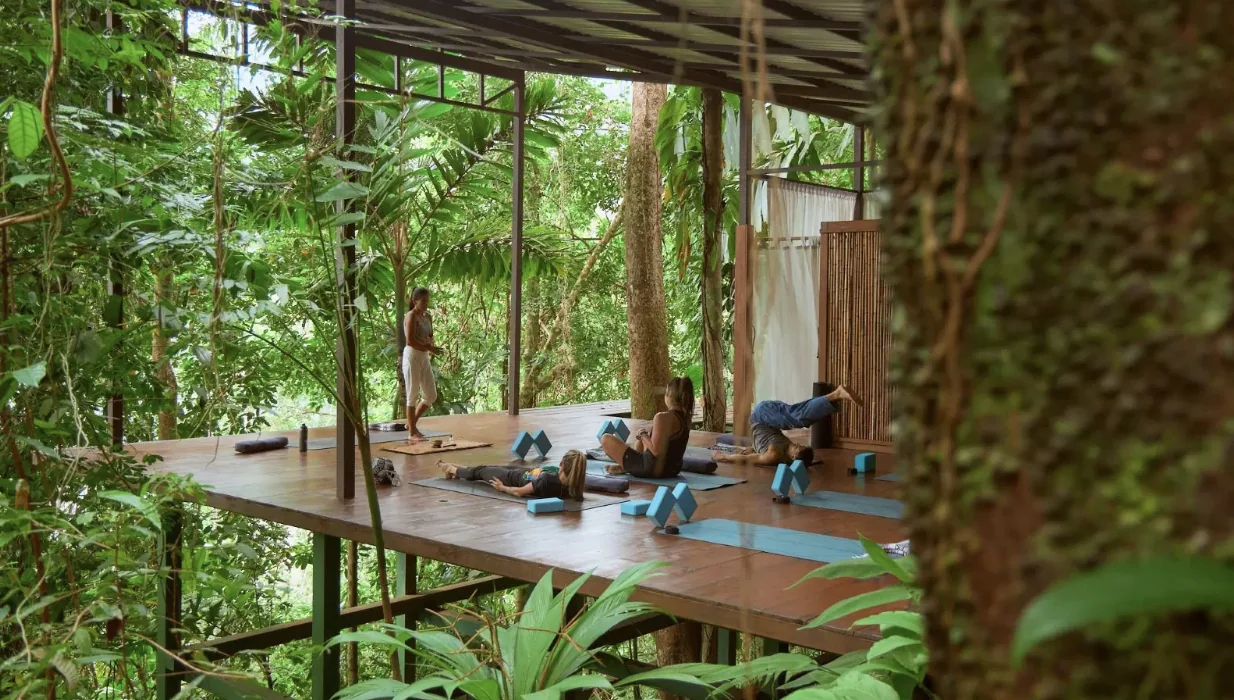 Stærkt yoga-retreat på 7 nætter