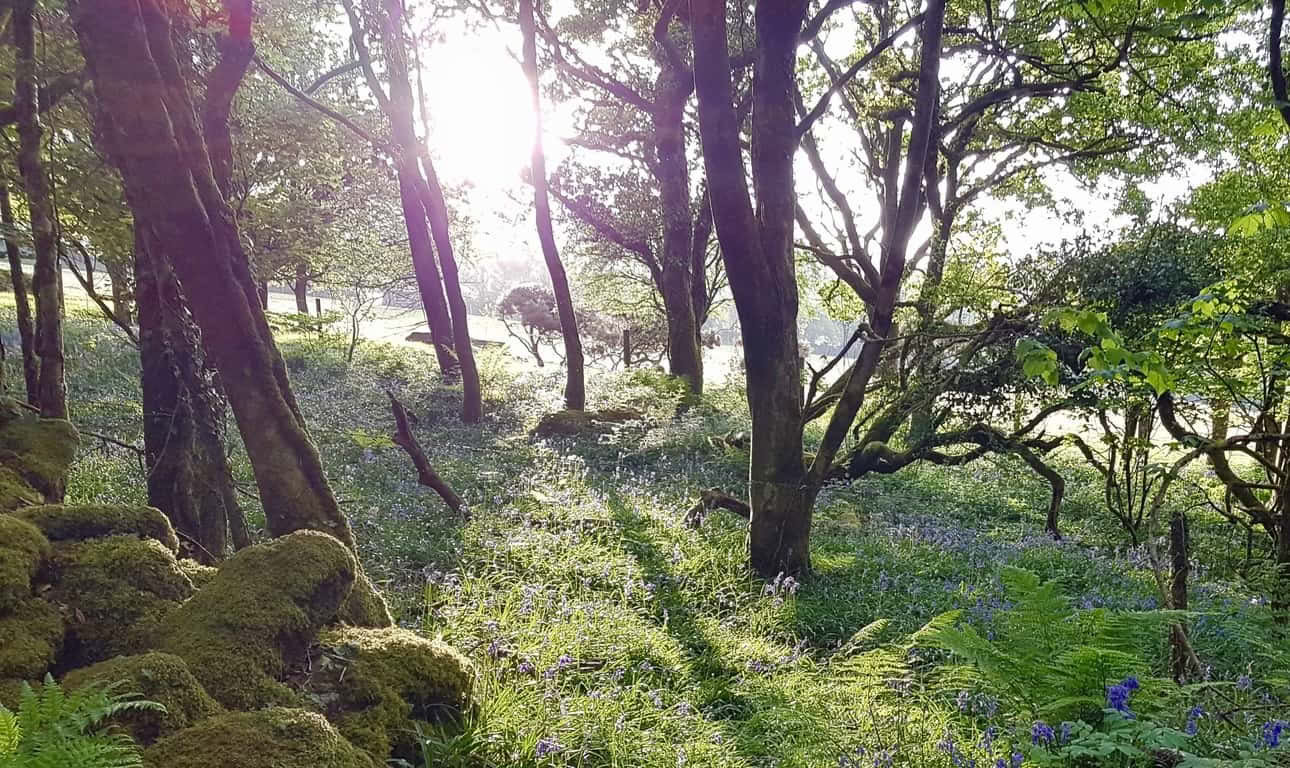 Retreats, dage og kurser – efterårsretreatdage hos The Yoga House