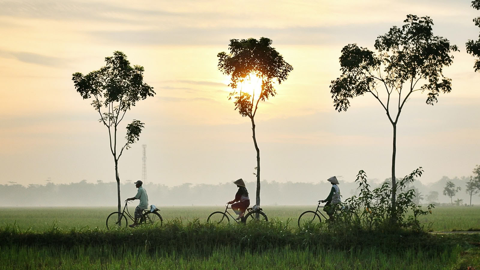 Berigende yoga-retreat og vandring i Vietnam 2026