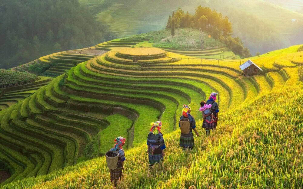 Berigende yoga-retreat og vandring i Vietnam 2026