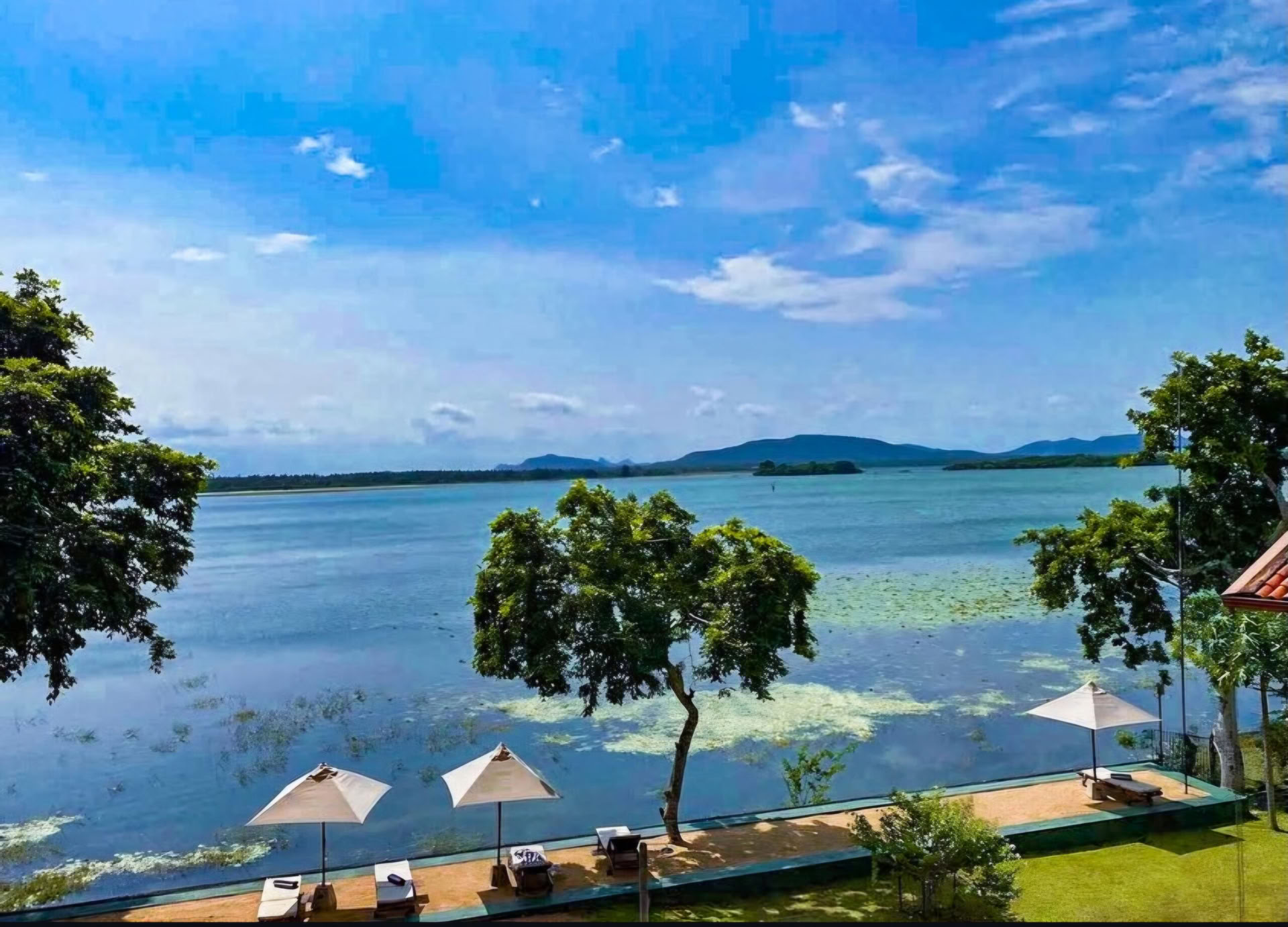 Healing Ayurveda- og yogaretreat på Sri Lanka i 2027
