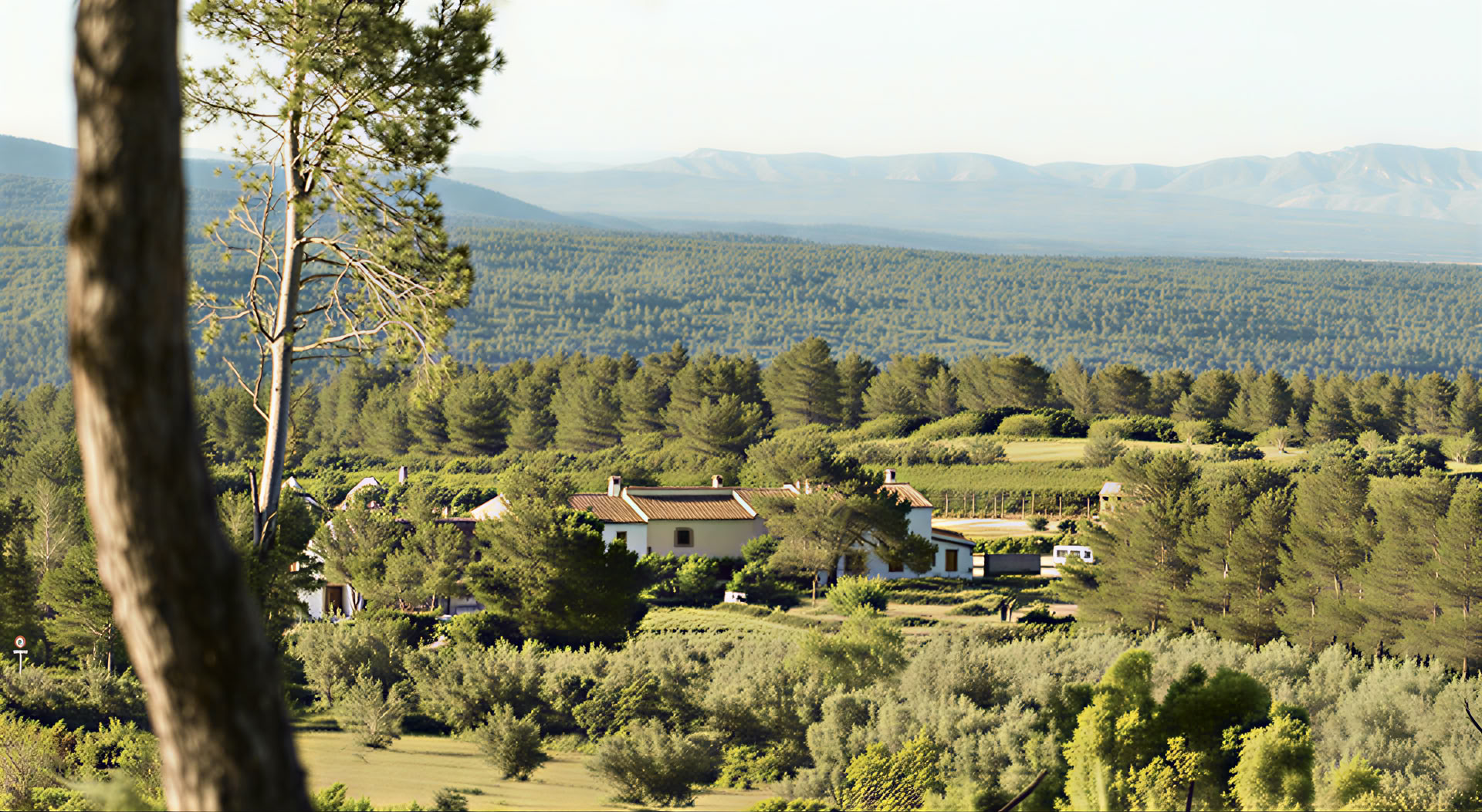 Stilhedsretreat