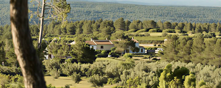 Stilhedsretreat