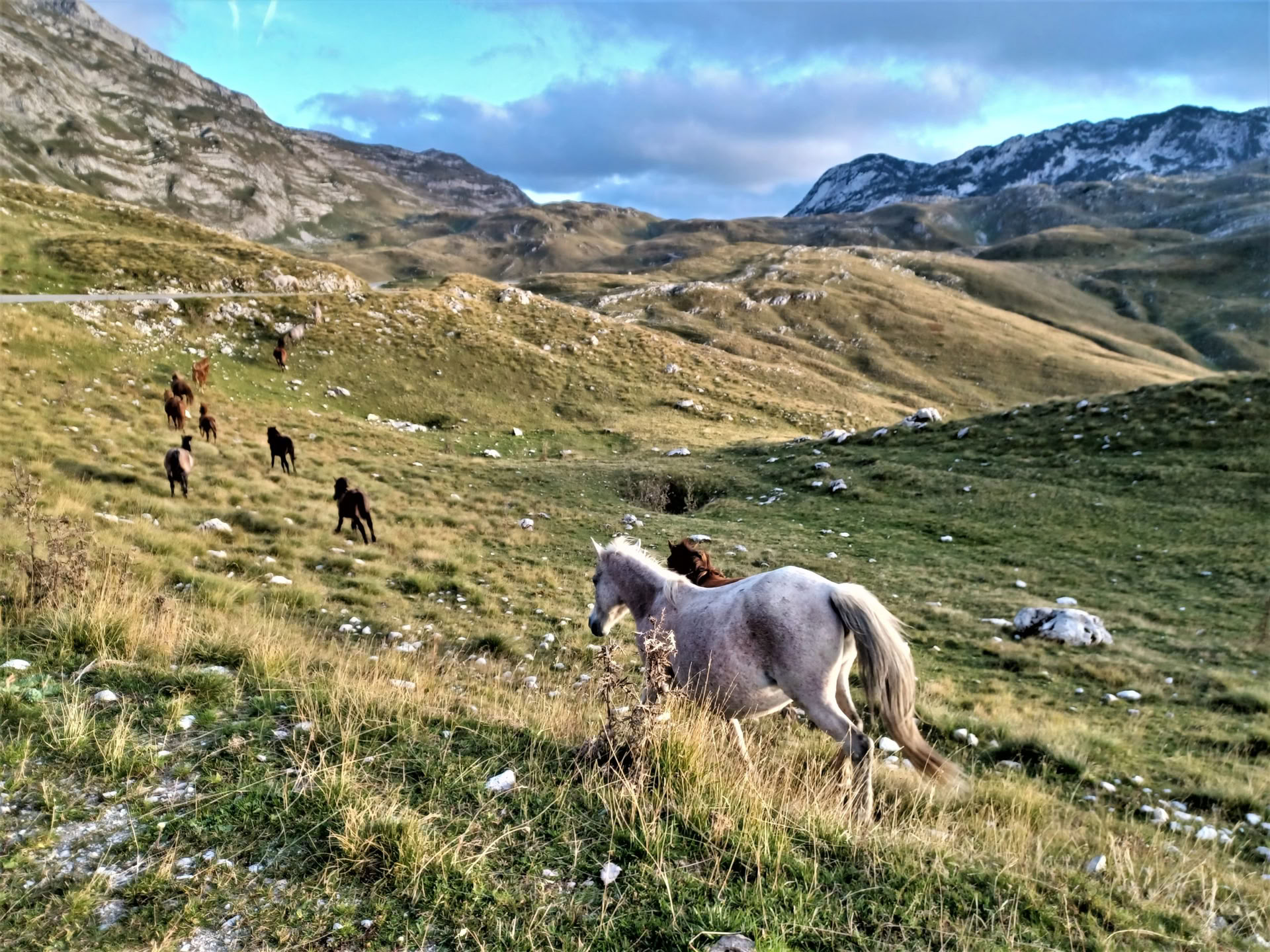 7 dages vandreferie i bjergene i Montenegro