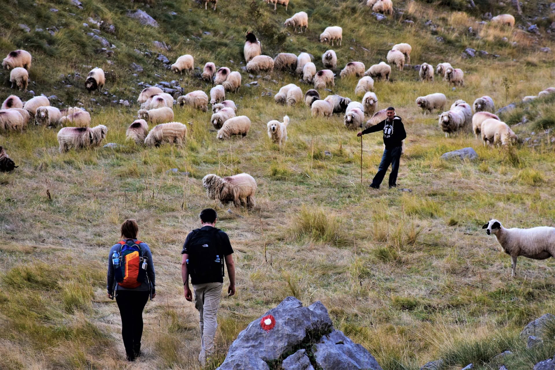 7 dages vandreferie i bjergene i Montenegro