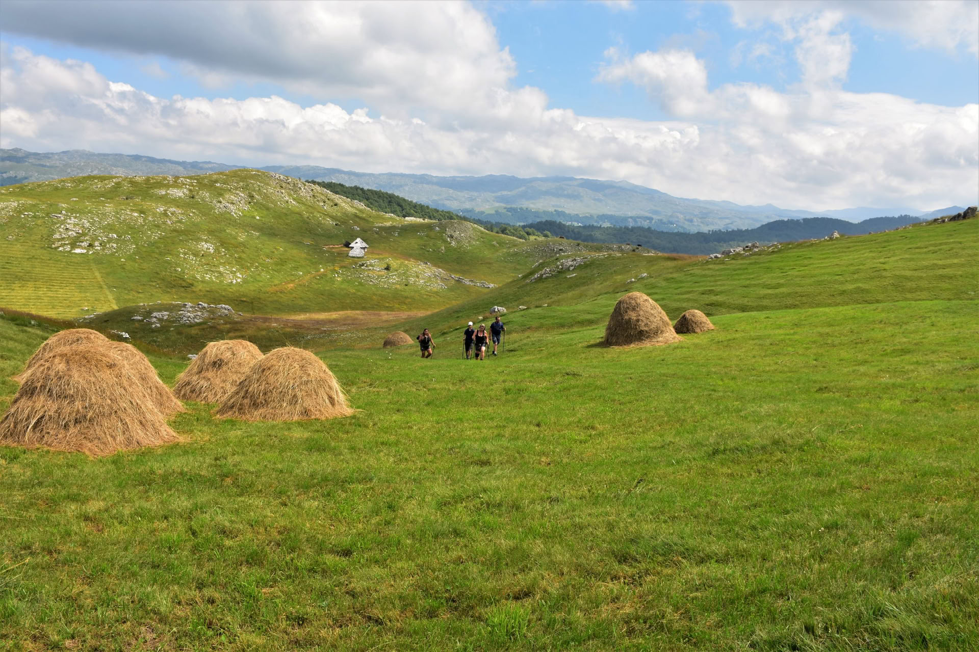 7 dages vandreferie i bjergene i Montenegro