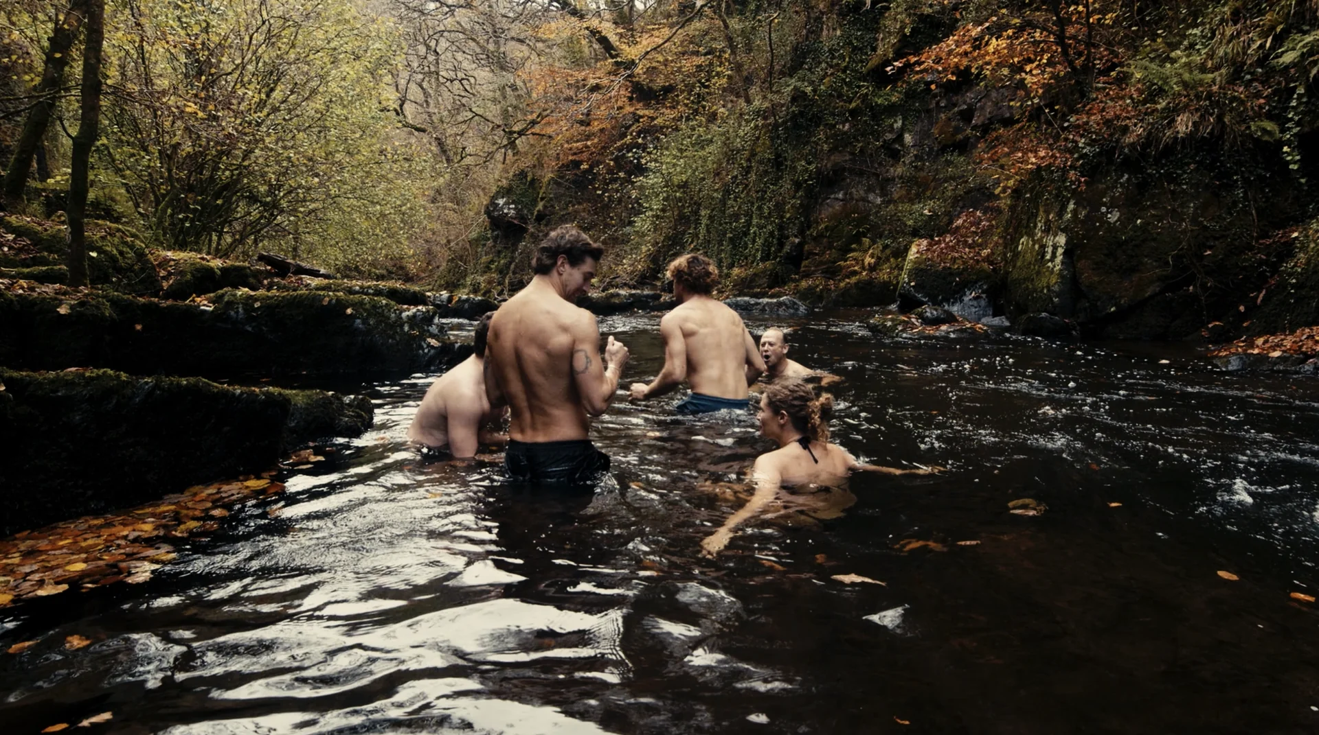 Yoga-retreat i trætoppene i Devon