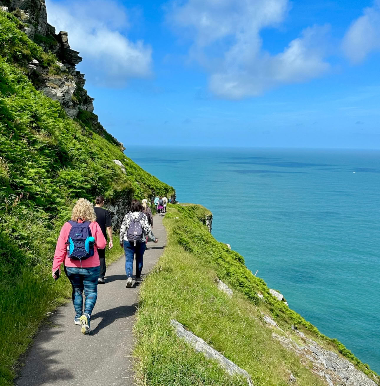 Yoga-retreat i trætoppene i Devon