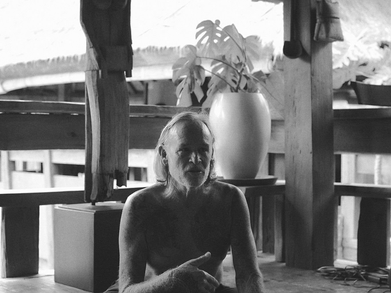 Mick Barnes - Hatha-yogaens otte lemmer