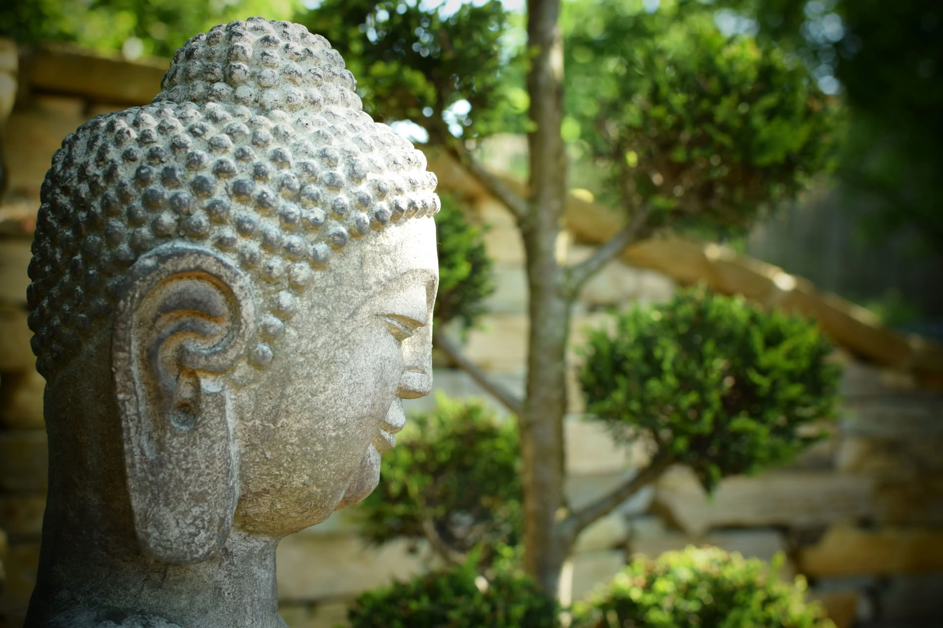 Vipassana (indsigtsmeditation)