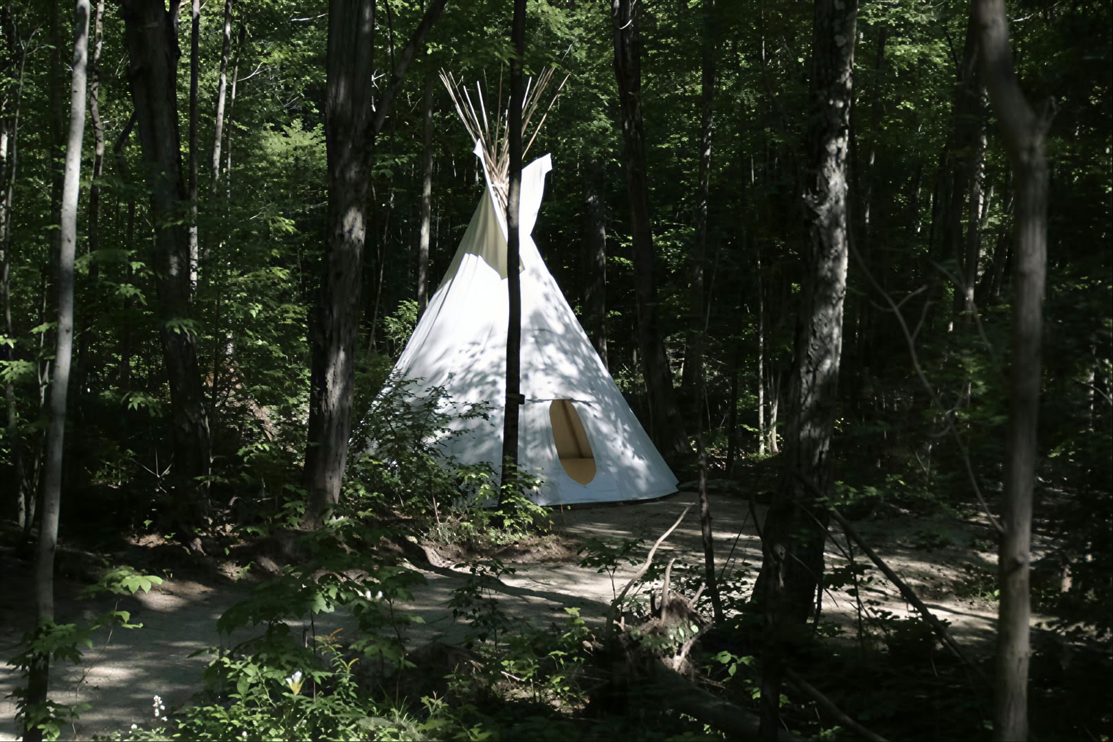 Faciliteret yoga i naturen