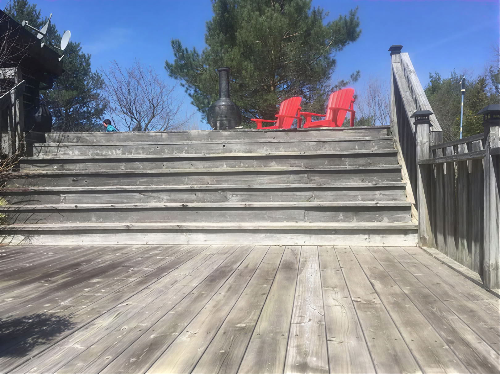 Faciliteret yoga i naturen