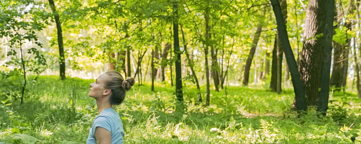 Faciliteret yoga i naturen
