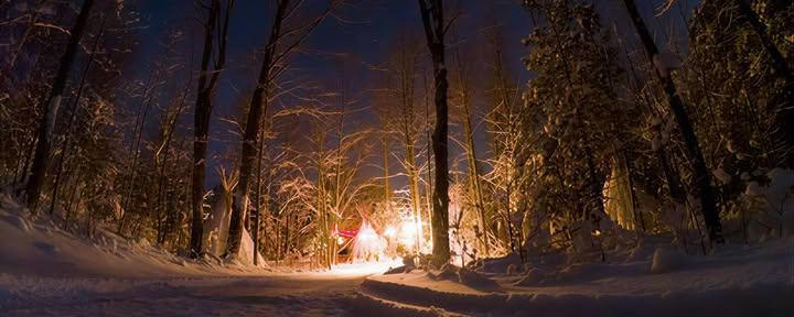Fuglekiggeri