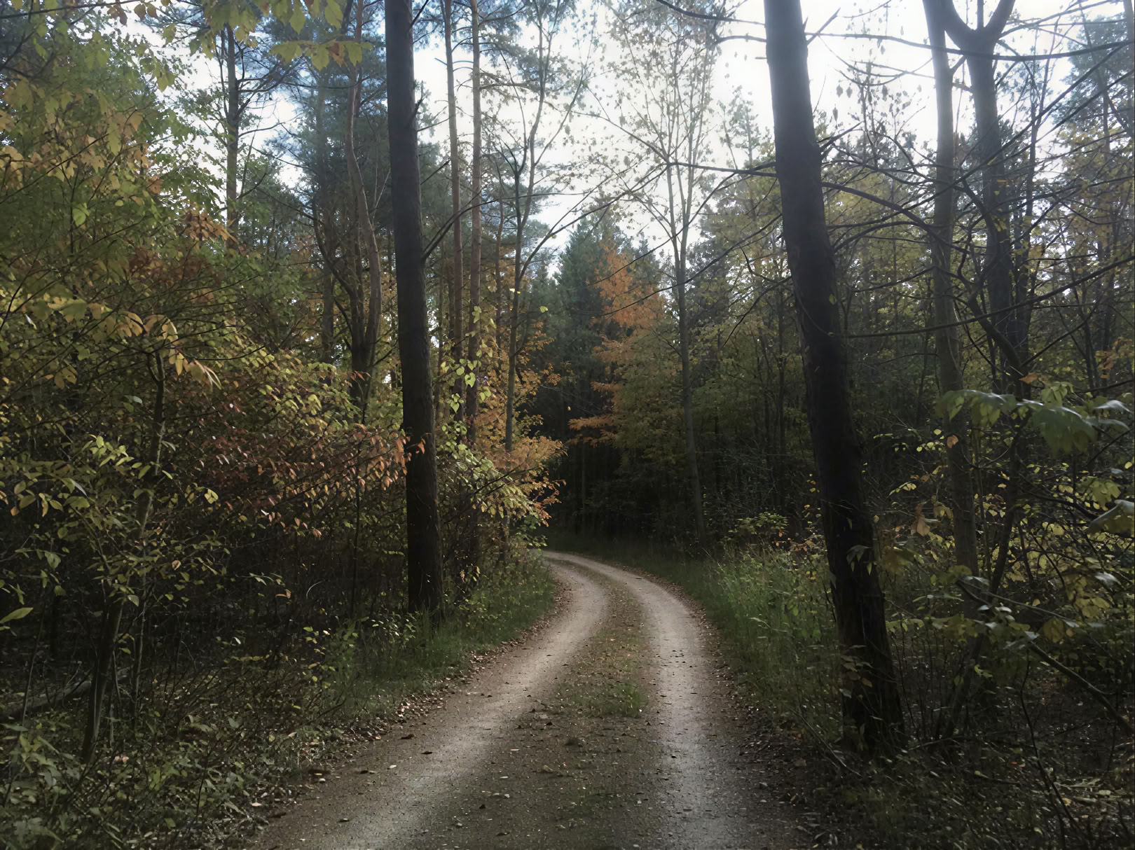 Plantemedicinsk retreat