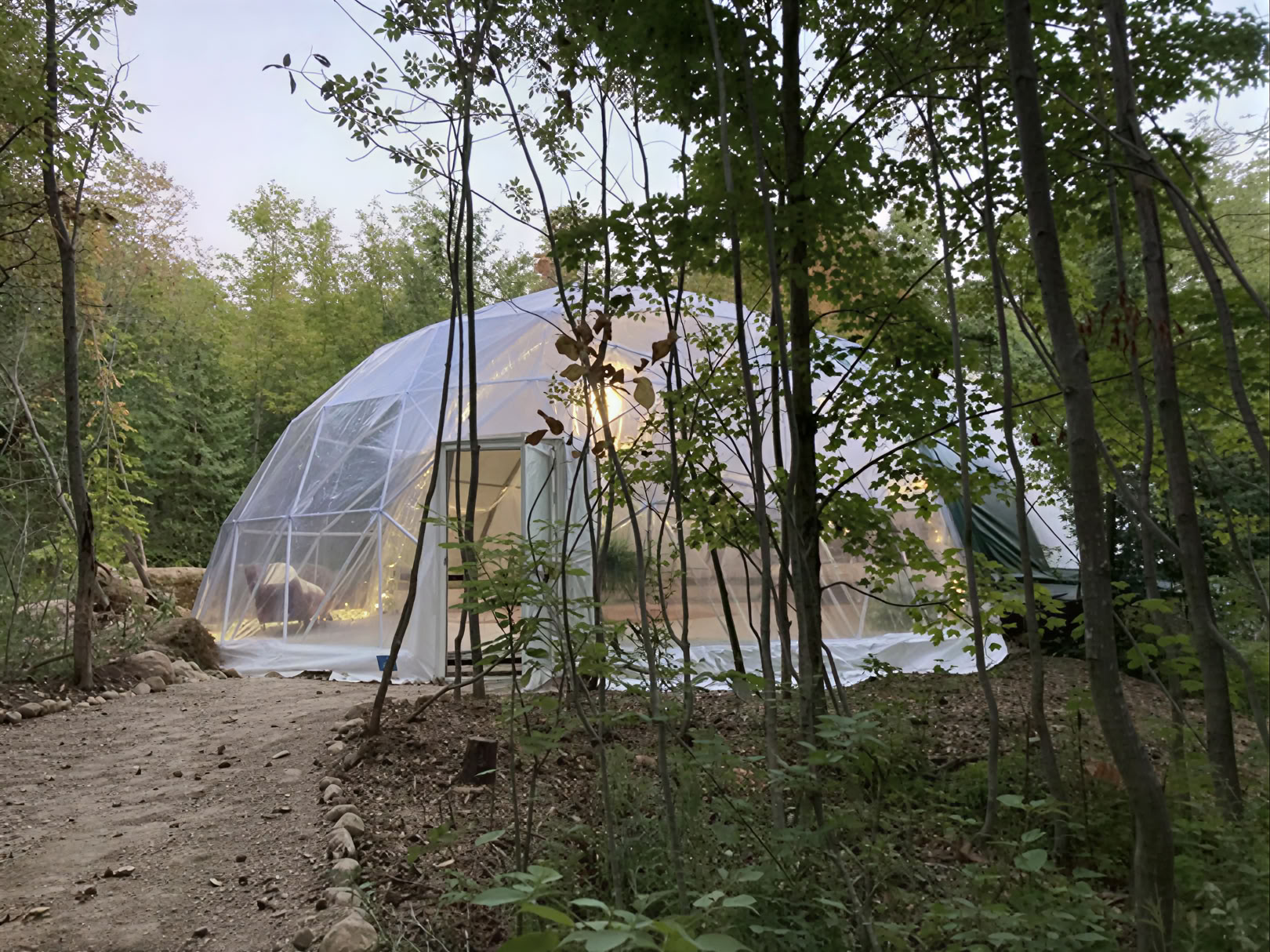 Plantemedicinsk retreat