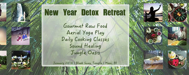 Nytårsdetox-retreat