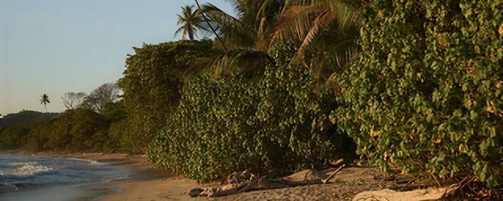 Ibiza pilates-retreat