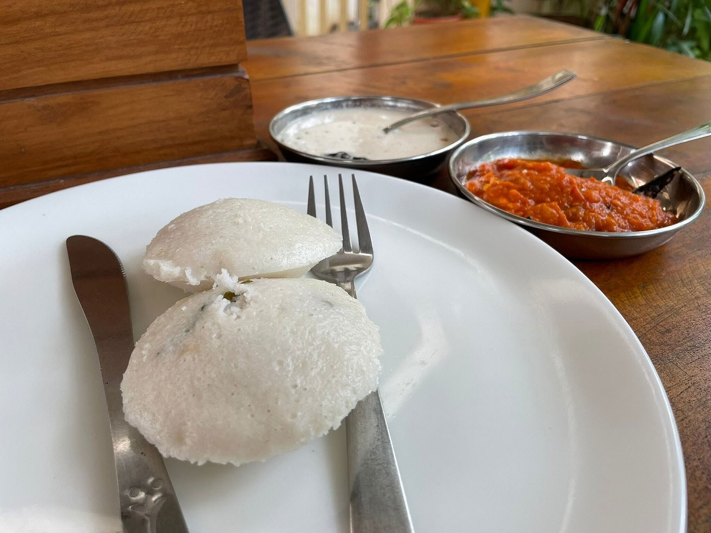Mellem havet og stilheden: yoga- og ayurveda-retreat i hjertet af Kerala, Indien
