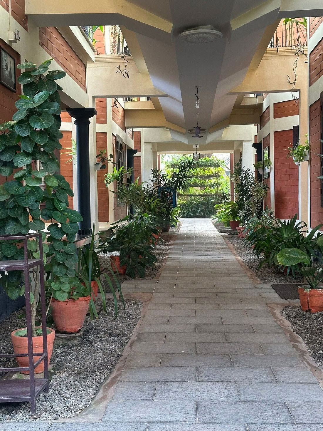 Mellem havet og stilheden: yoga- og ayurveda-retreat i hjertet af Kerala, Indien
