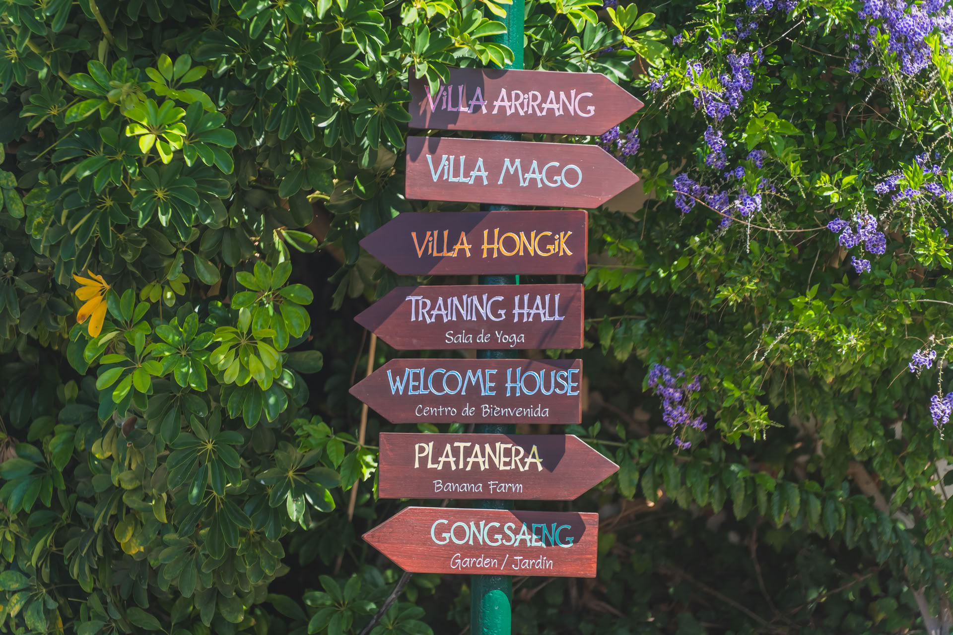 Elsk Dig Selv Wellness-Retreat – 23.-28. juni 2026