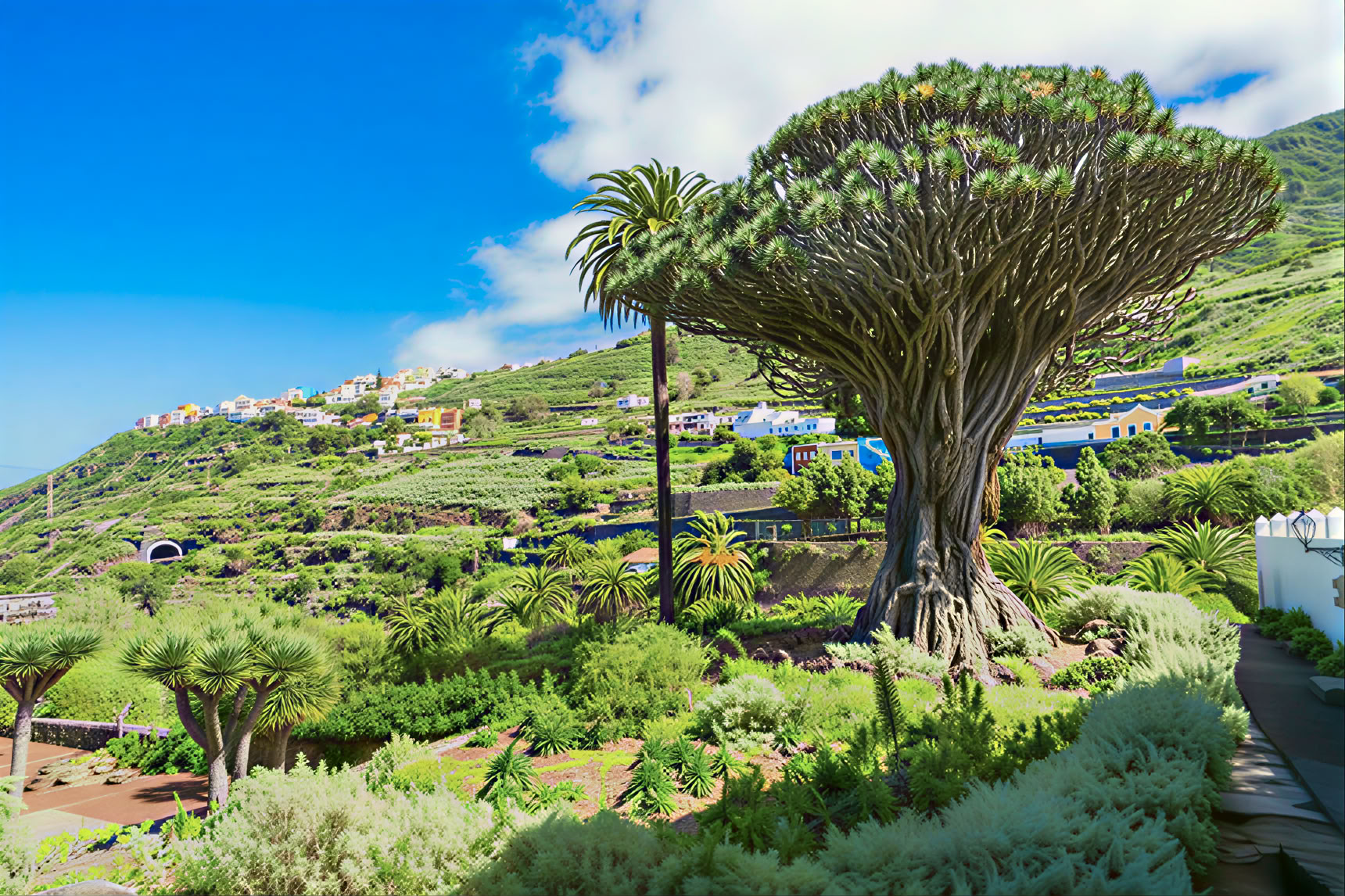 Meditationstur på Tenerife