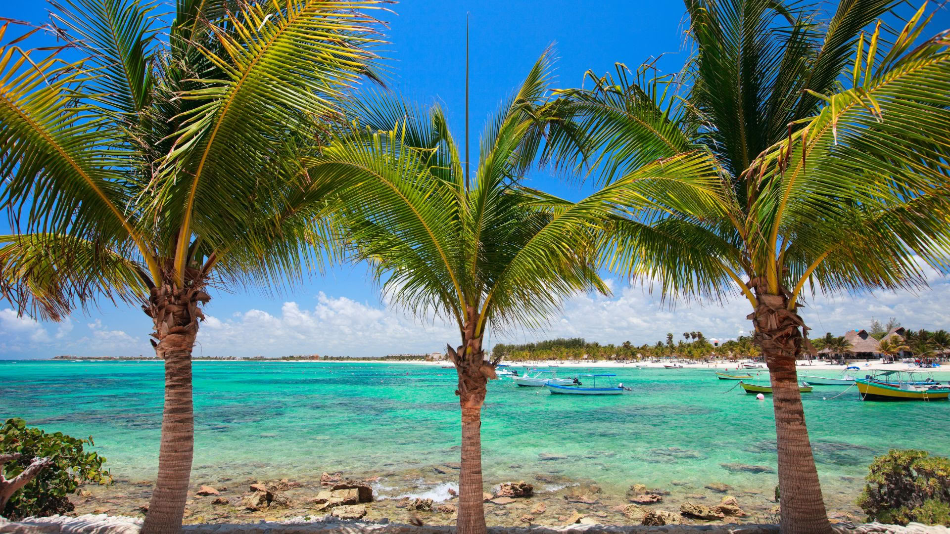 Akumal Wellness-retreat: Suite med havudsigt