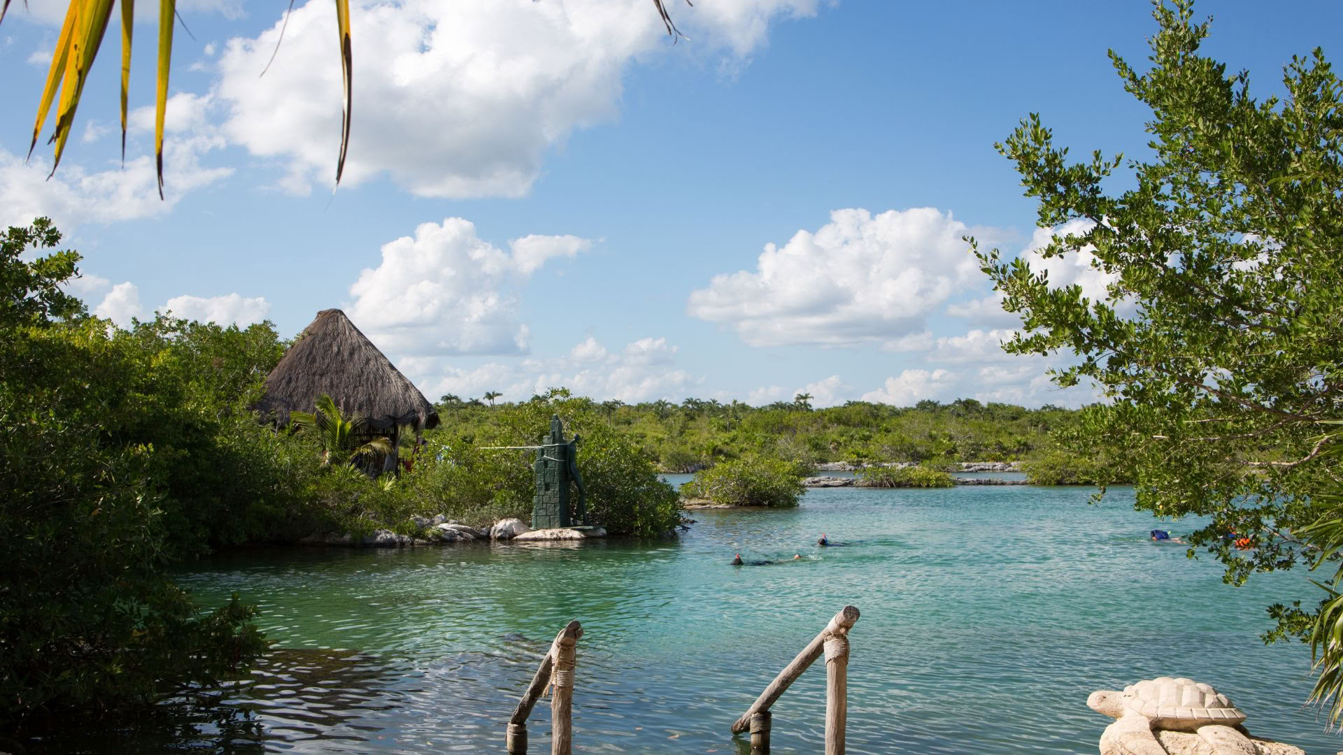 Akumal Wellness-retreat: Suite med havudsigt