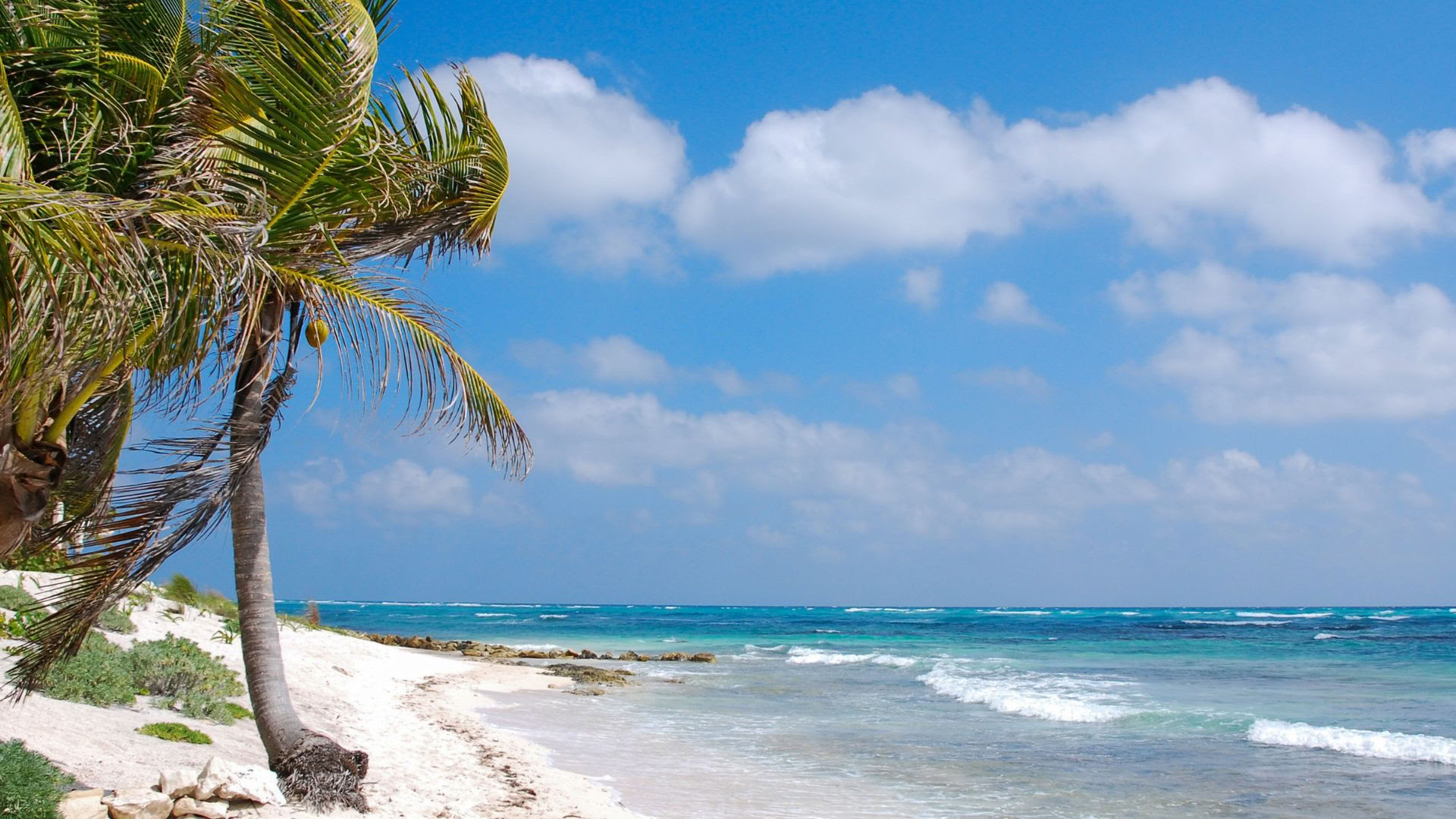 Akumal Wellness-retreat: Enkeltværelse med eget bad og toilet
