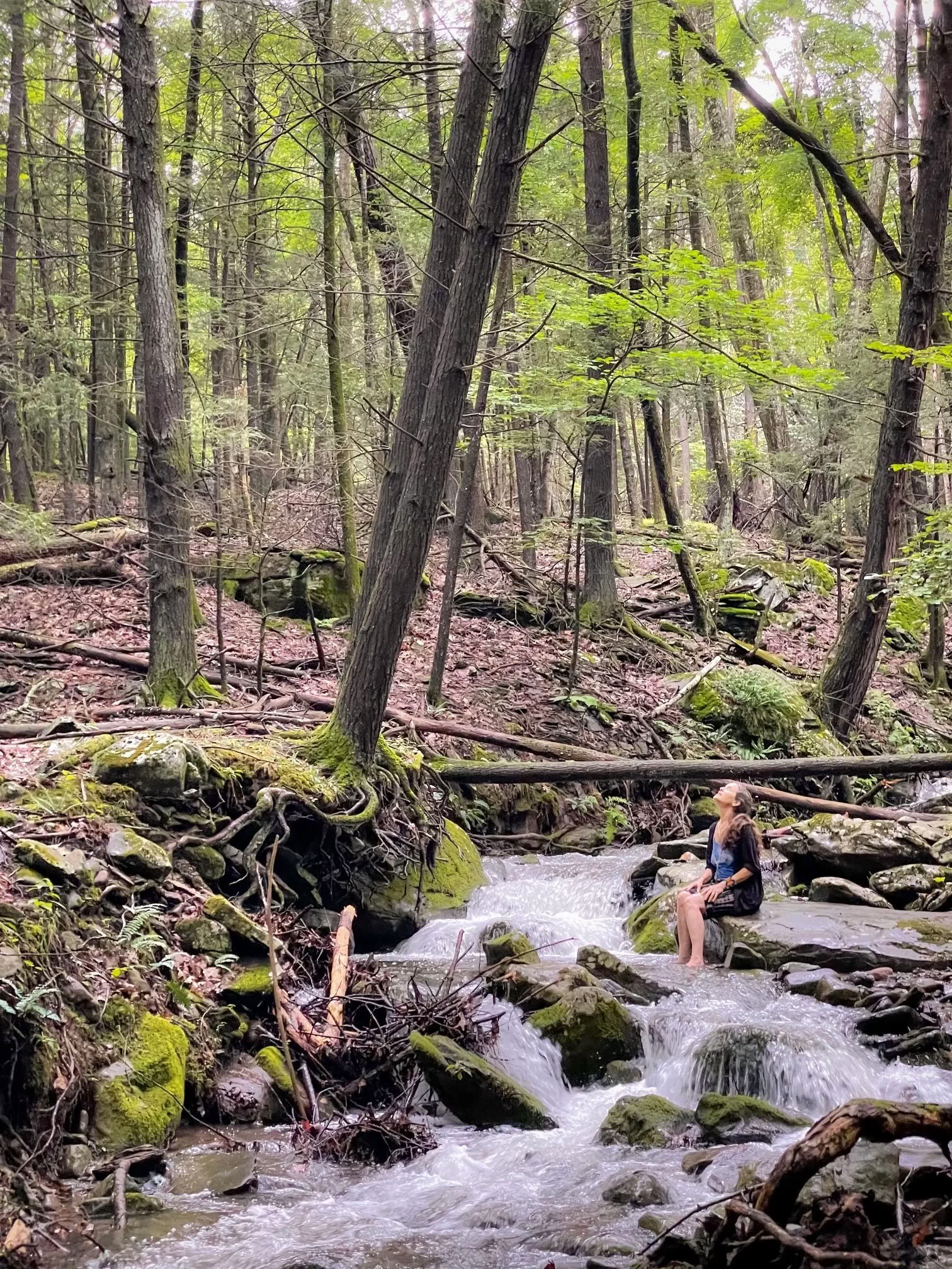 Høstsamling på N.E.S.T. med Hudson Valley Psychedelic Society — ESKFF NEST