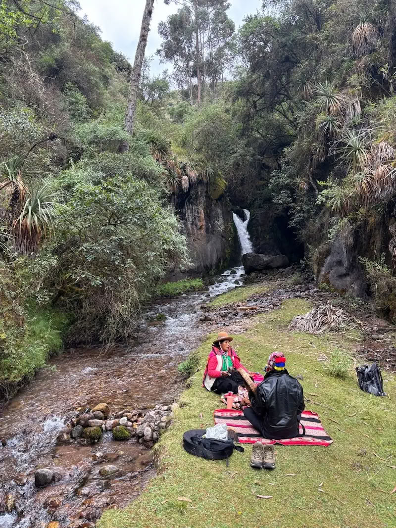 Ayahuasca- og San Pedro-retreat 3 dage